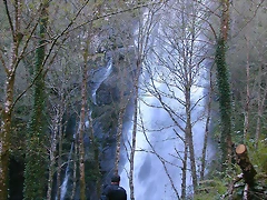 DSCN0299 DSCN0299