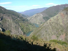 DSCN0336 DSCN0336