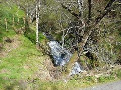 DSCN0315 DSCN0315