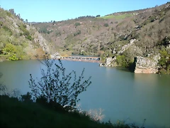 DSCN0349 DSCN0349