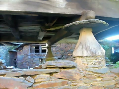 DSCN0448 DSCN0448