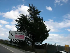 DSCN0202 DSCN0202