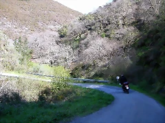 DSCN0251 DSCN0251