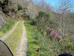 DSCN0306 DSCN0306