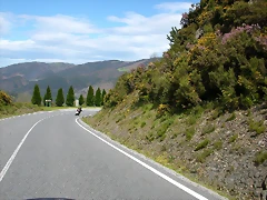 DSCN0219 DSCN0219