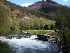 DSCN0223 DSCN0223