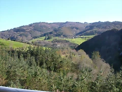DSCN0318 DSCN0318