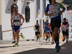 DSC03435_3930x2611 DSC03435_3930x2611