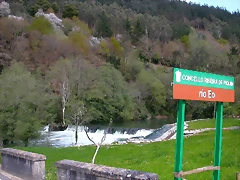 DSCN0221 DSCN0221