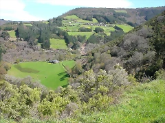 DSCN0241 DSCN0241