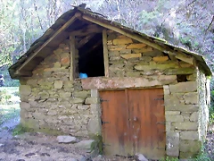 DSCN0388 DSCN0388
