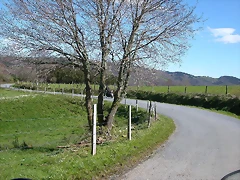 DSCN0266 DSCN0266