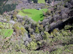 DSCN0243 DSCN0243