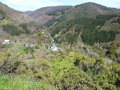 DSCN0242 DSCN0242