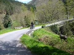 DSCN0229 DSCN0229