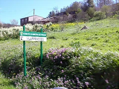 DSCN0233 DSCN0233