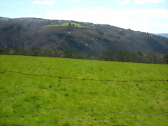DSCN0258 DSCN0258