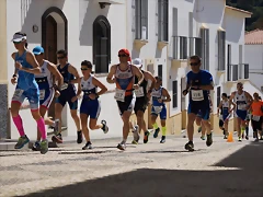 DSC03429_3930x2611 DSC03429_3930x2611