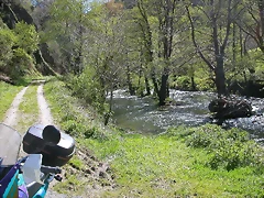 DSCN0244 DSCN0244