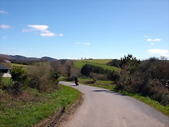 DSCN0264 DSCN0264