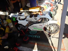 DSCN5599 DSCN5599