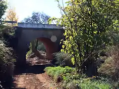 puente desde el arroyo