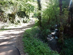 DSCN0066 DSCN0066