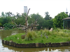 P1240854