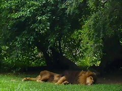P1240708