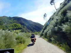 DSCN1249 DSCN1249