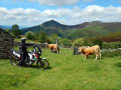 DSCN9316 DSCN9316