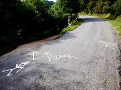 DSCN8981