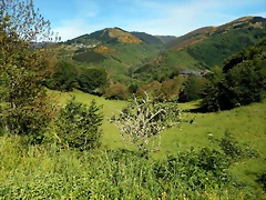 DSCN0996 DSCN0996