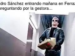 MemesPedroSanchezGanaPrimarias2017-1