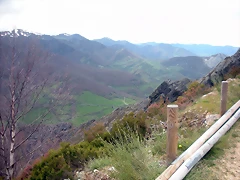 DSCN4389 DSCN4389