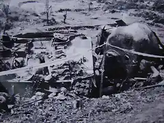 Polish Memorial - Lugar Explosion