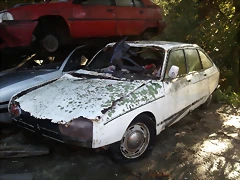 2012-11-09 09.54.33 2012-11-09 09.54.33