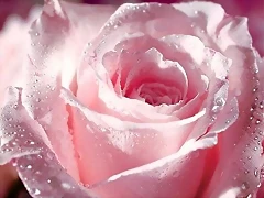 imagenes-amor-2-peq imagenes-amor-2-peq