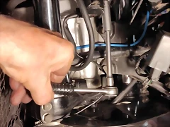 55