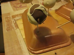 IMG_0668 IMG_0668