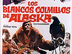 Blancoscolmillosalaskasp