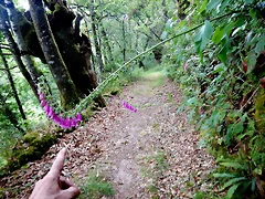 DSCN4368 DSCN4368