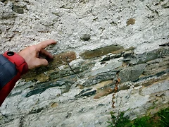 DSCN4446 DSCN4446