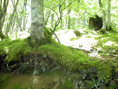 DSCN8489 DSCN8489