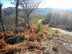 DSCN0144 DSCN0144