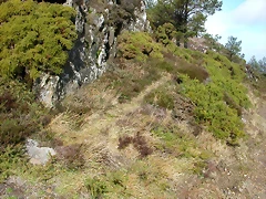 DSCN7671 DSCN7671
