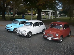 P1100964 (Small) P1100964 (Small)