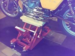 IMAG1068 IMAG1068