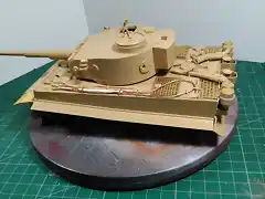 Tiger51