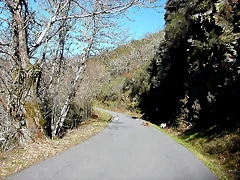 DSCN8031 DSCN8031